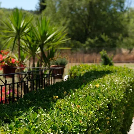 Dafni Holidays Near Village Num01 Roda (Corfu)